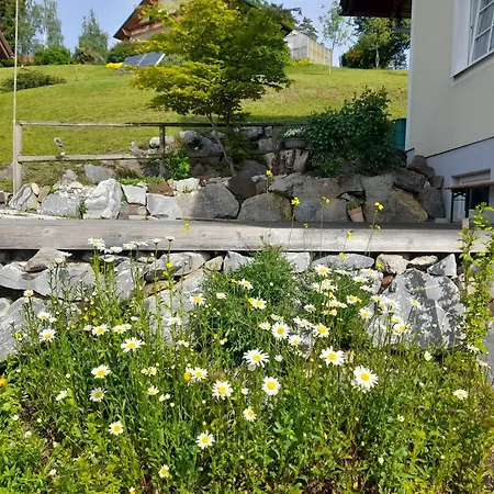 Romy 도이치란즈베르그